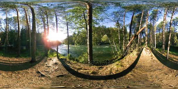 UHD 4K 360 VR La realidad virtual de un río fluye sobre rocas en un hermoso paisaje de bosque de montaña — Vídeos de Stock