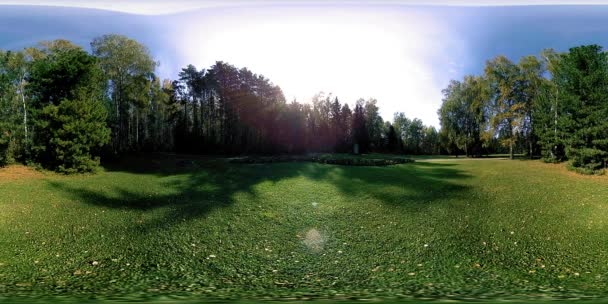 UHD 4K 360 VR Realidade Virtual de uma área de recreação do parque da cidade. Árvores e grama verde no outono ou no dia de verão — Vídeo de Stock