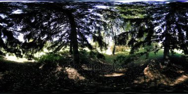 Bir şehir parkının UHD 4K 360 VR Sanal Gerçekliği. Sonbaharda ya da yaz gününde ağaçlar ve yeşil çimenler