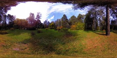 Bir şehir parkının UHD 4K 360 VR Sanal Gerçekliği. Sonbaharda ya da yaz gününde ağaçlar ve yeşil çimenler