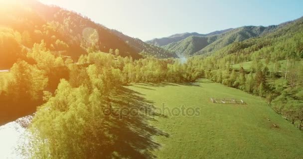 Mid-air flight over fresh mountain river and meadow at sunny summer morning. Rural dirt road below. — Stock Video