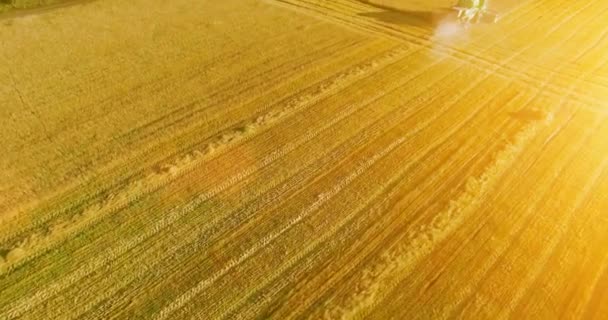 UHD 4k havadan görünümü. Düşük uçuş birleştirmek hasat toplar üzerinde sarı kırsal alan, buğday. — Stok video