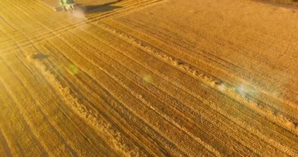 UHD 4k luchtfoto. Lage vlucht over combine harvester verzamelt de tarwe op geel landelijke veld. — Stockvideo