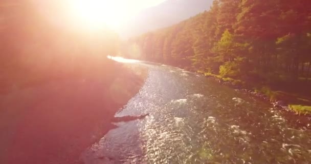 Vuelo en medio del aire sobre un río de montaña fresco y limpio en la soleada mañana de verano — Vídeos de Stock