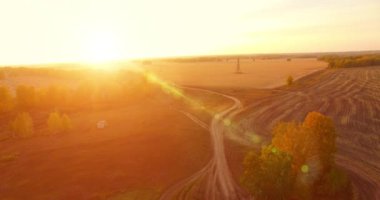 UHD 4K hava görüntüsü. Sarı kırsal alan ve toprak yol üzerinde orta-uçuş