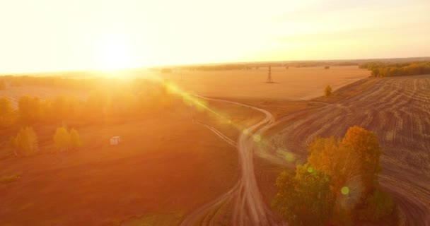 Widok z powietrza UHD 4K. Lot w powietrzu nad żółtym polem wiejskim i polną drogą — Wideo stockowe