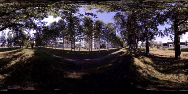 UHD 4K 360 VR Virtual Reality eines Erholungsgebietes im Stadtpark. Bäume und grünes Gras am Herbst- oder Sommertag — Stockvideo