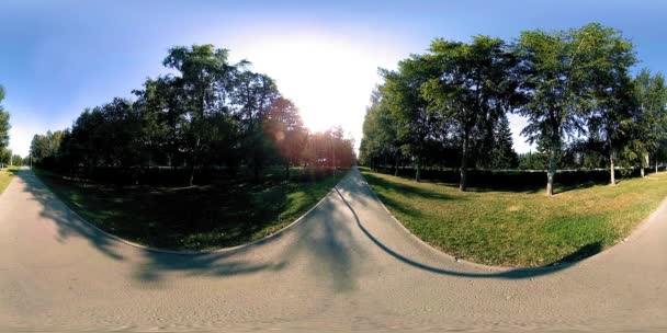 UHD 4K 360 VR Virtual Reality eines Erholungsgebietes im Stadtpark. Bäume und grünes Gras am Herbst- oder Sommertag — Stockvideo