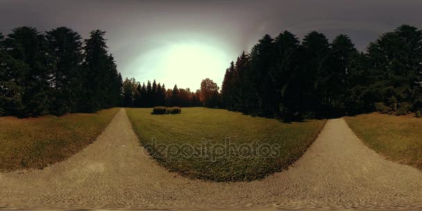 UHD 4K 360 VR Realtà Virtuale di un'area ricreativa del parco cittadino. Alberi ed erba verde al giorno d'autunno o d'estate — Video Stock