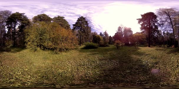 UHD 4K 360 VR Réalité virtuelle d'un parc municipal zone de loisirs. Arbres et herbe verte le jour d'automne ou d'été