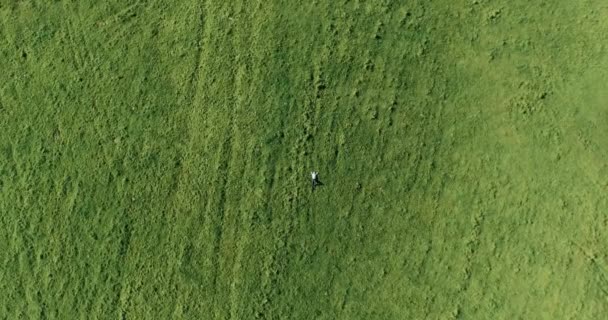 Vertikalflug über Geschäftsmann, der auf frischer grüner Wiese liegt. Blick von oben auf entspannten Mann. — Stockvideo