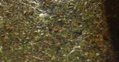 Güneşli yaz sabahında temiz ve taze bir dağ nehri üzerinde uçuşun ortasındayız. Üst görünüm ve yatay hareket