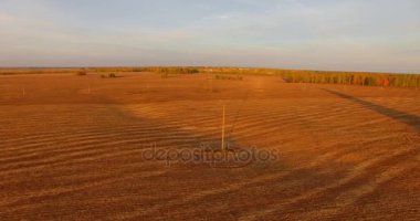 UHD 4k havadan görünümü. Havada uçak sarı kırsal alanın üzerinde
