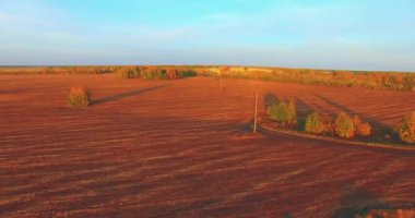 UHD 4k havadan görünümü. Havada uçak sarı kırsal alanın üzerinde