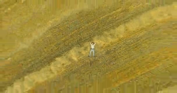 Вид з повітря. Вертикальний політ над людиною, що лежить на жовтому пшеничному полі — стокове відео