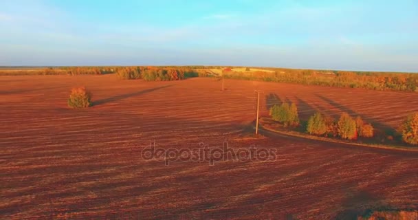 UHD 4K vista aérea. Vuelo en el aire sobre el campo rural amarillo — Vídeos de Stock