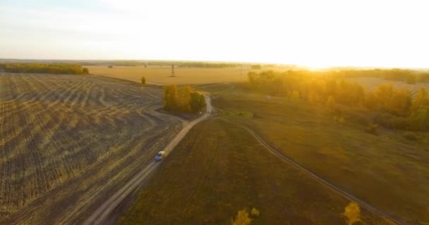 Letecký pohled UHD 4K. Vzdušný let nad žlutým venkovským polem a polní cestou — Stock video