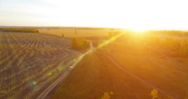 UHD 4K hava görüntüsü. Sarı kırsal alan ve toprak yol üzerinde orta-uçuş