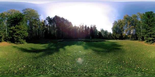 UHD 4K 360 VR Virtual Reality eines Erholungsgebietes im Stadtpark. Bäume und grünes Gras am Herbst- oder Sommertag — Stockvideo