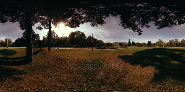 UHD 4K 360 VR Virtual Reality eines Erholungsgebietes im Stadtpark. Bäume und grünes Gras am Herbst- oder Sommertag — Stockvideo