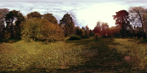 UHD 4K 360 VR都市公園レクリエーションエリアの仮想現実。秋または夏の日の木や緑の草 — ストック動画