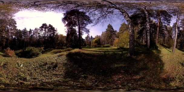 UHD 4K 360 VR Virtual Reality eines Erholungsgebietes im Stadtpark. Bäume und grünes Gras am Herbst- oder Sommertag — Stockvideo