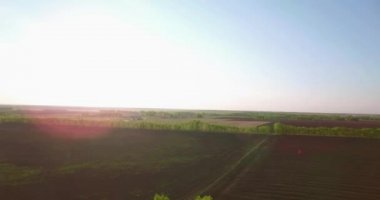 4 k hava manzara. Düşük uçuş yeşil ve sarı buğday kırsal alanın üzerine.