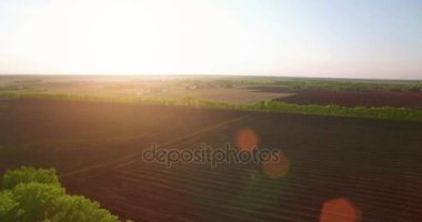 4 k hava manzara. Düşük uçuş yeşil ve sarı buğday kırsal alanın üzerine.