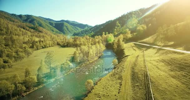 Vuelo en medio del aire sobre el río fresco de la montaña y el prado en la soleada mañana de verano. Camino de tierra rural abajo . — Vídeos de Stock