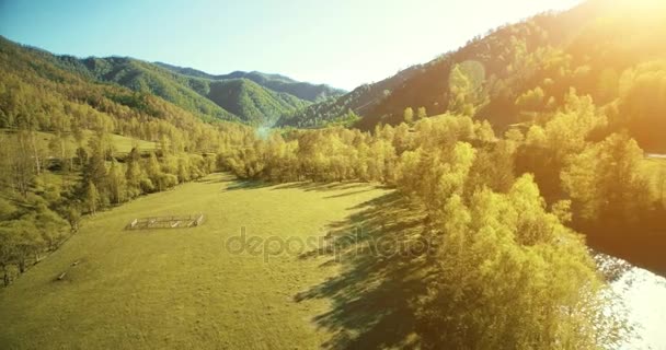 Mid-air flyvning over frisk bjerg flod og eng på solrig sommer morgen. Landdistrikterne grusvej nedenfor . – Stock-video