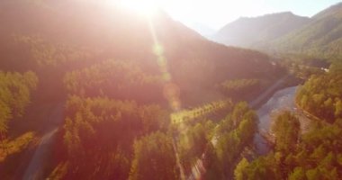 Güneşli yaz sabahında taze dağ nehri ve çayır üzerinde uçuşun ortasında. Aşağıdaki kırsal toprak yol.