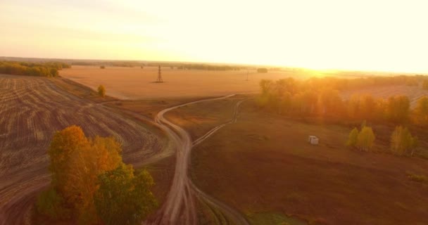 UHD 4K hava görüntüsü. Sarı kırsal alan ve toprak yol üzerinde orta-uçuş — Stok video