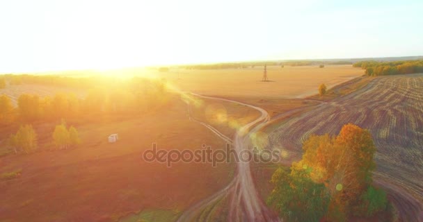 UHD 4K vista aérea. Vuelo en medio del aire sobre campo rural amarillo y camino de tierra — Vídeos de Stock