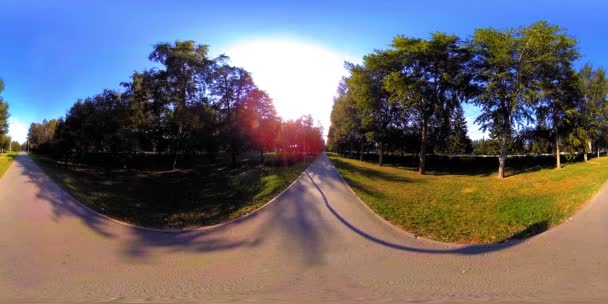 UHD 4K 360 VR Réalité virtuelle d'un parc municipal zone de loisirs. Arbres et herbe verte le jour d'automne ou d'été — Video