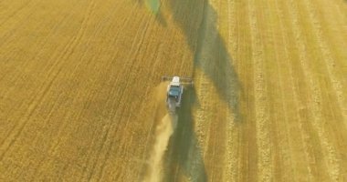 UHD 4k havadan görünümü. Düşük uçuş birleştirmek hasat toplar üzerinde sarı kırsal alan, buğday.
