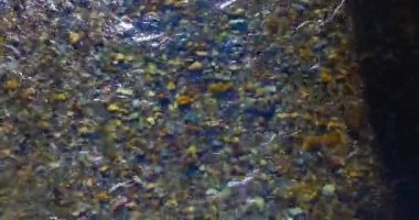 Güneşli yaz sabahında temiz ve taze bir dağ nehri üzerinde uçuşun ortasındayız. Üst görünüm ve yatay hareket