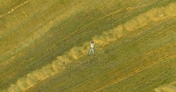 Vista aérea. Vuelo en movimiento vertical sobre el hombre acostado en el campo de trigo amarillo — Vídeo de stock