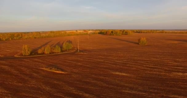 UHD 4K aerial view. Mid-air flight over yellow rural field — Stock Video