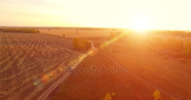 UHD 4K hava görüntüsü. Sarı kırsal alan ve toprak yol üzerinde orta-uçuş