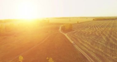 UHD 4K hava görüntüsü. Sarı kırsal alan ve toprak yol üzerinde orta-uçuş