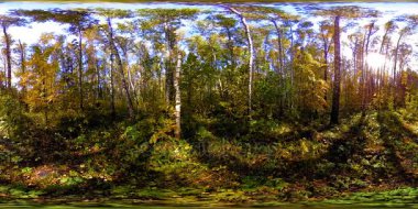 Bir şehir parkının UHD 4K 360 VR Sanal Gerçekliği. Sonbaharda ya da yaz gününde ağaçlar ve yeşil çimenler