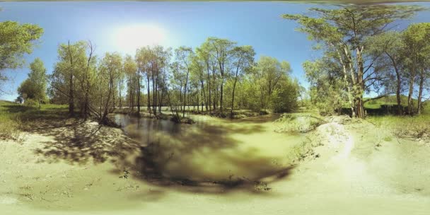 UHD 4K 360 VR Realidade Virtual de um rio flui sobre rochas em bela paisagem de floresta de montanha — Vídeo de Stock