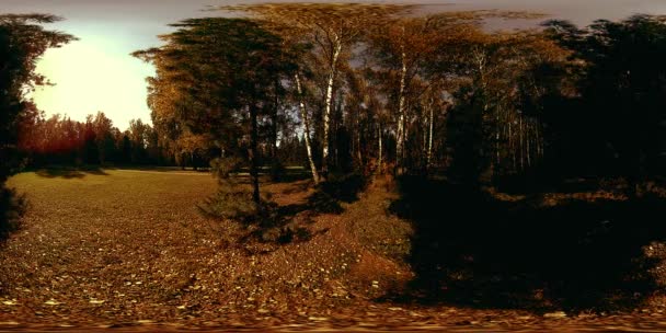 UHD 4K 360 VR Réalité virtuelle d'un parc municipal zone de loisirs. Arbres et herbe verte le jour d'automne ou d'été