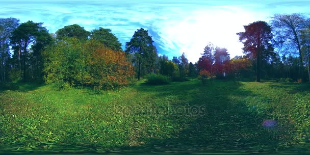 UHD 4K 360 VR Virtual Reality of a city park recreation area. Trees and green grass at autumn or summer day — Stock Video