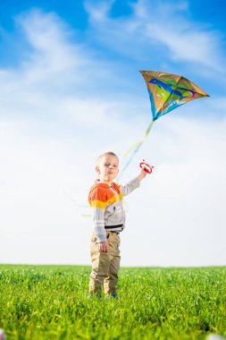 Genç çocuk onun uçurtma yeşil alan ile oynarken.