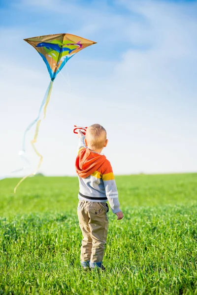 Young boy playing with his kite in a green field.