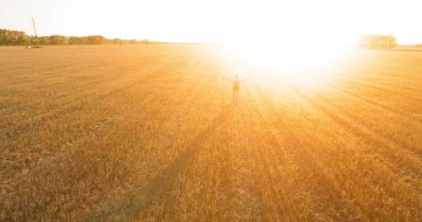 Lage vlucht over jongeman toeristische lopen over een groot tarweveld. Handen omhoog, winnaar, gelukkig en vrijheid concept. — Stockvideo