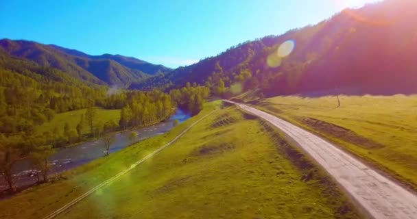 맑은 여름 아침에는 신선 한산의 강 과 초원을 비행하는 공기 가희 박하다. 아래에 있는 시골 흙길. — 비디오