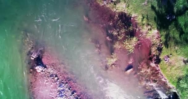 4k UHD vista aerea. Basso volo sul fresco fiume di montagna freddo al soleggiato mattino d'estate . — Video Stock