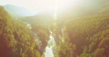 Güneşli yaz sabahında taze dağ nehri ve çayır üzerinde uçuşun ortasında. Aşağıdaki kırsal toprak yol.